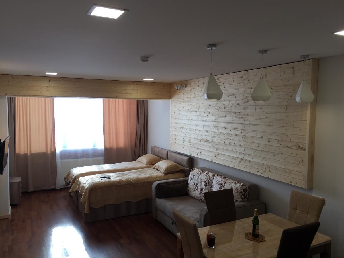 Апарт-отели Apartment New Gudauri IV Гудаури-17